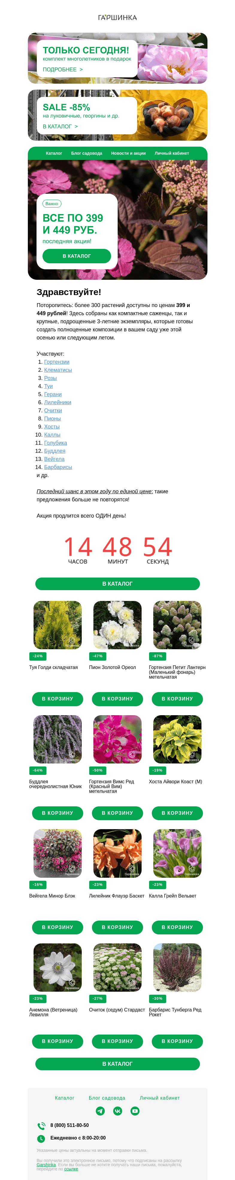 Письмо компании «Гаршинка.ру» на тему «💰 Все по 399 и 449: последняя акция одной цены! Больше не повторится!»