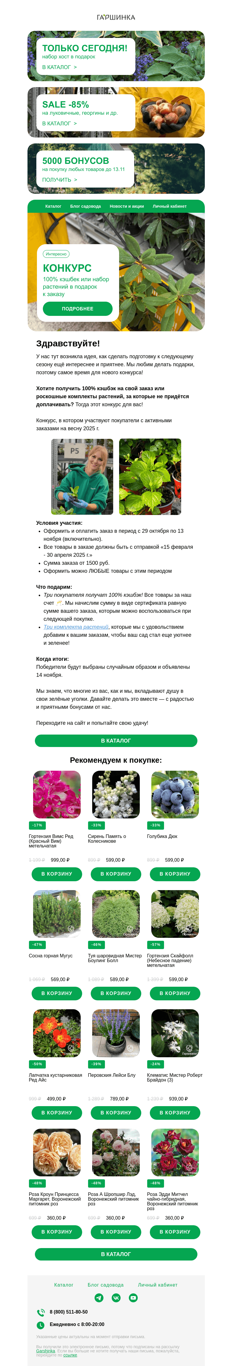 Письмо компании «Гаршинка.ру» на тему «🎉 Конкурс: 100% кэшбэк или набор растений в подарок к заказу!»