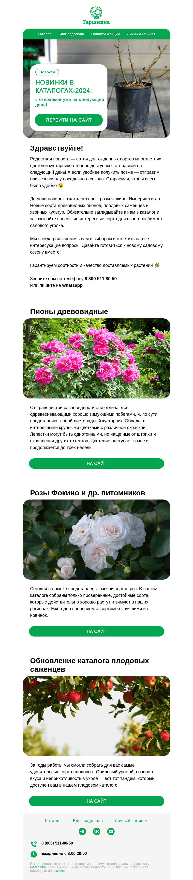 Письмо компании «Гаршинка.ру» на тему «🌿Новинки в каталогах-2024:»
