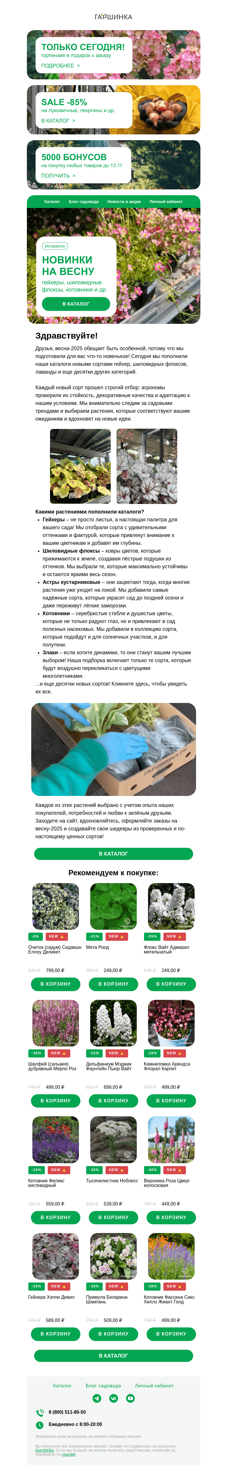Письмо компании «Гаршинка.ру» на тему «🌸 Новинки весны-2025: гейхеры, шиловидные флоксы и другие хиты для вашего сада!»