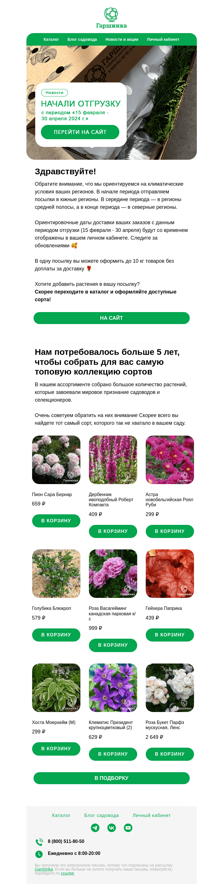Письмо компании «Гаршинка.ру» на тему «🌿 Начался долгожданный период отгрузки растений «15 февраля - 30 апреля 2024 г.»!»