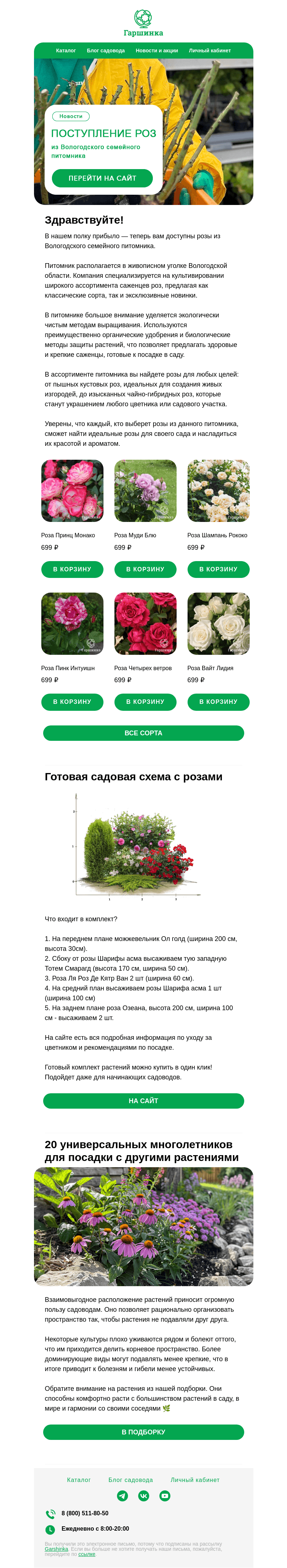 Письмо компании «Гаршинка.ру» на тему «🌹Поступление роз из Вологодского семейного питомника»