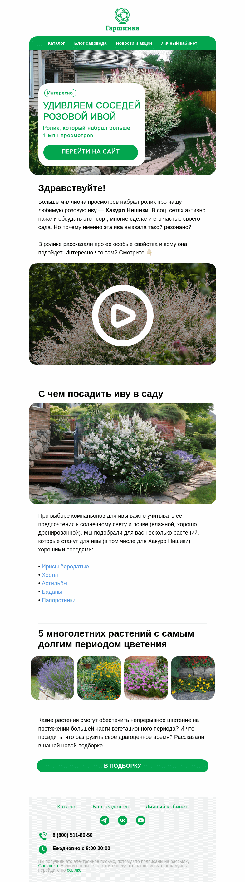 Письмо компании «Гаршинка.ру» на тему «🌿 Удивляем соседей розовой ивой | Растения с длительным цветением | Готовые схемы»