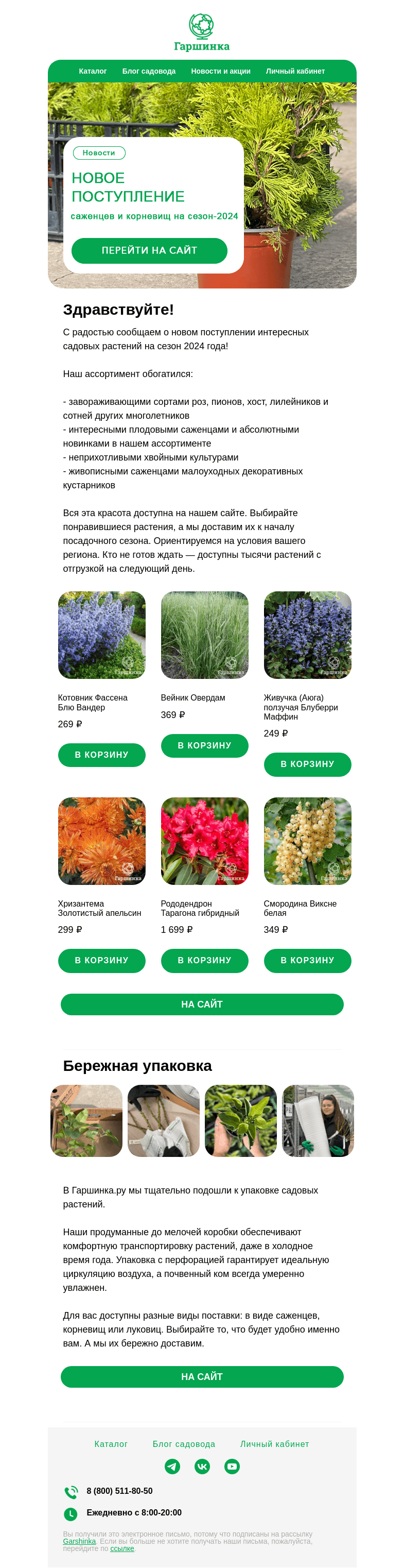 Письмо компании «Гаршинка.ру» на тему «🌿🌾Новое поступление саженцев и корневищ на сезон-2024»