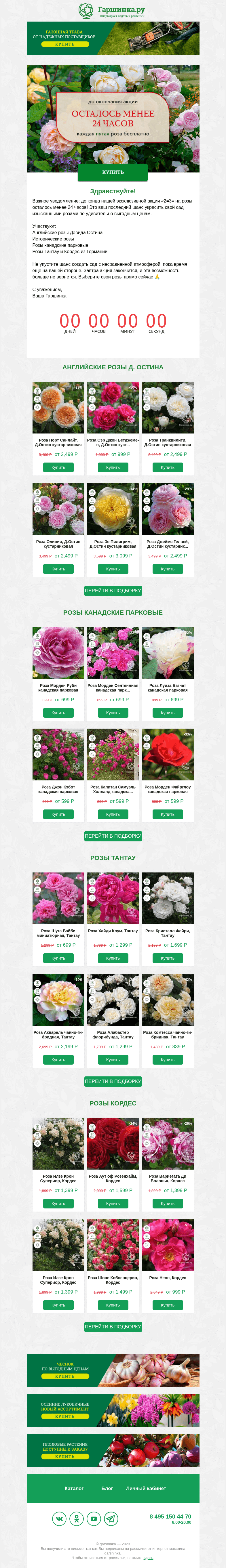Письмо компании «Гаршинка.ру» на тему «🌹 Последний день акции на розы!  🌹»