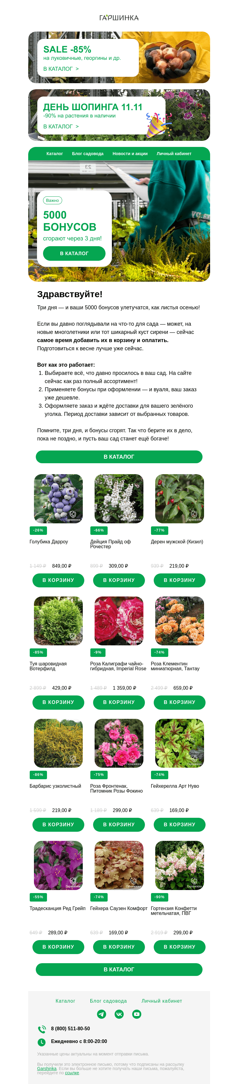 Письмо компании «Гаршинка.ру» на тему «🍀 5000 бонусов сгорают через 3 дня! Самое время их использовать!»