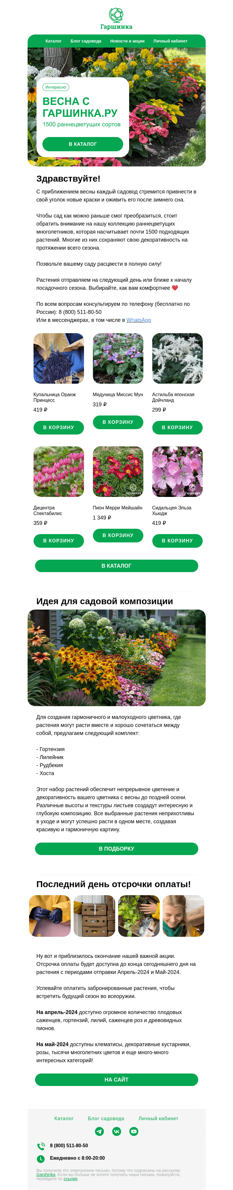 Письмо компании «Гаршинка.ру» на тему «🌸 Встречайте весну с Гаршинка.ру — 1500 раннецветущих многолетников ждут вас!»