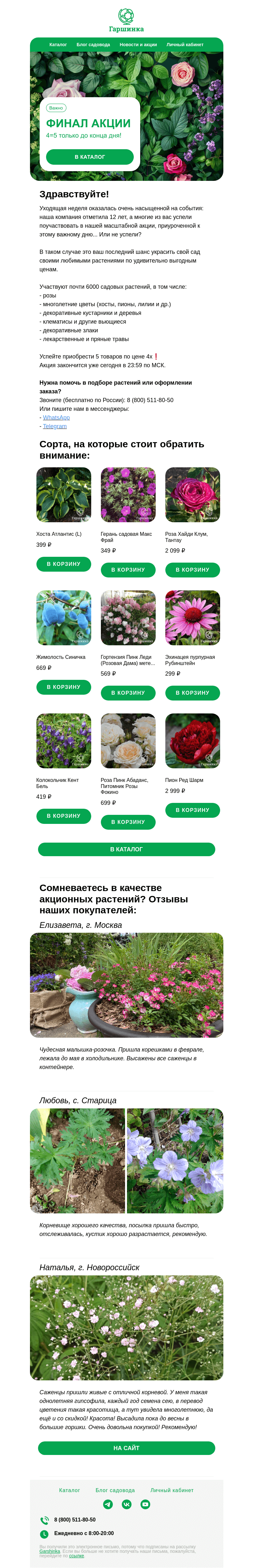 Письмо компании «Гаршинка.ру» на тему «❗️ Важное уведомление: до конца акции «4=5» осталось менее 24 часов!»
