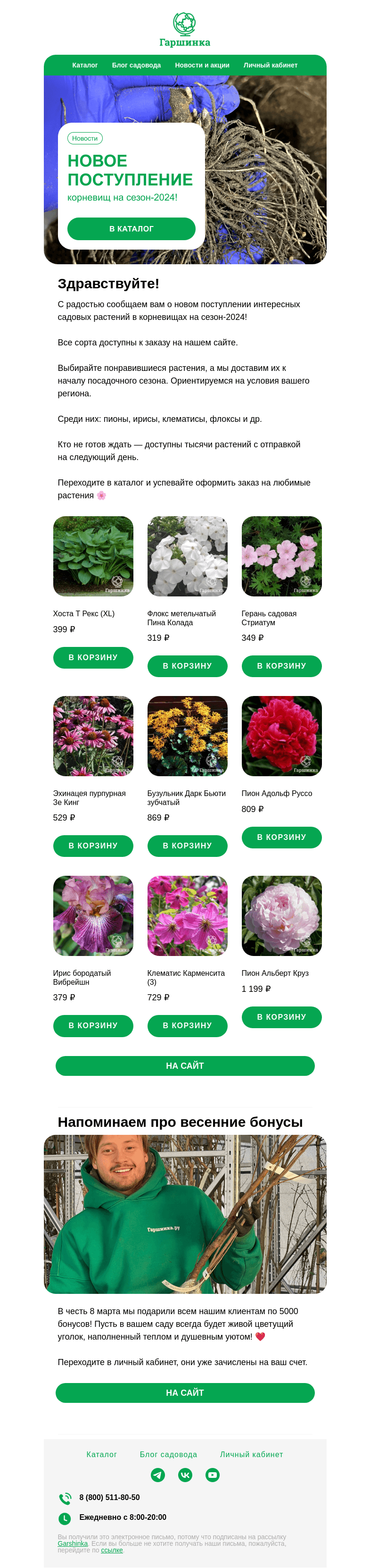 Письмо компании «Гаршинка.ру» на тему «😍Большое поступление корневищ на весну!»