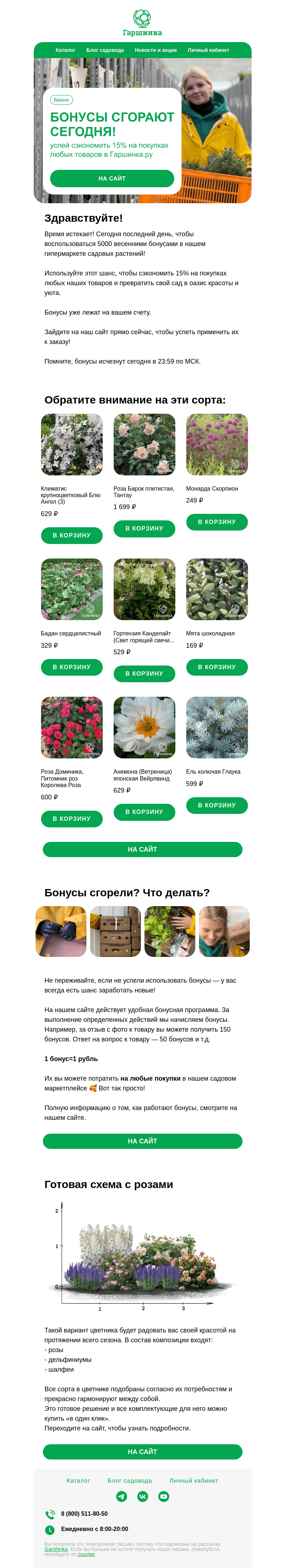 Письмо компании «Гаршинка.ру» на тему «Внимание ❗️ Весенние бонусы сгорают сегодня!»