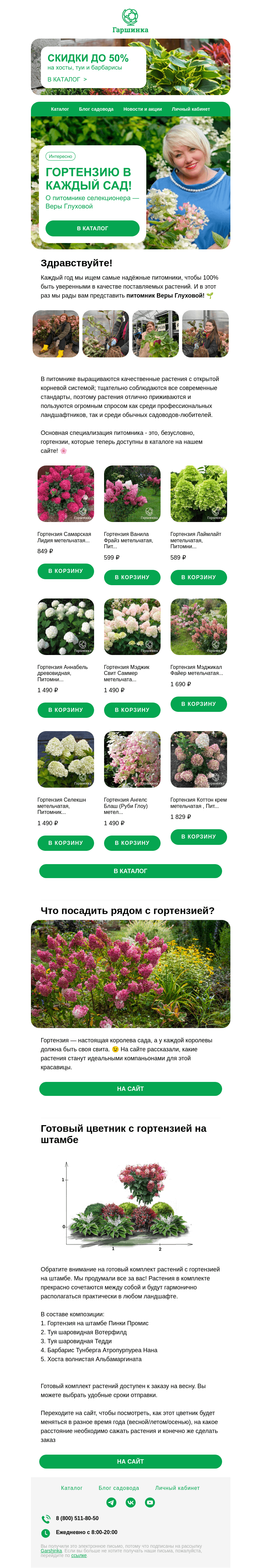 Письмо компании «Гаршинка.ру» на тему «🌸 Гортензию в каждый сад! О питомнике селекционера Веры Глуховой!»
