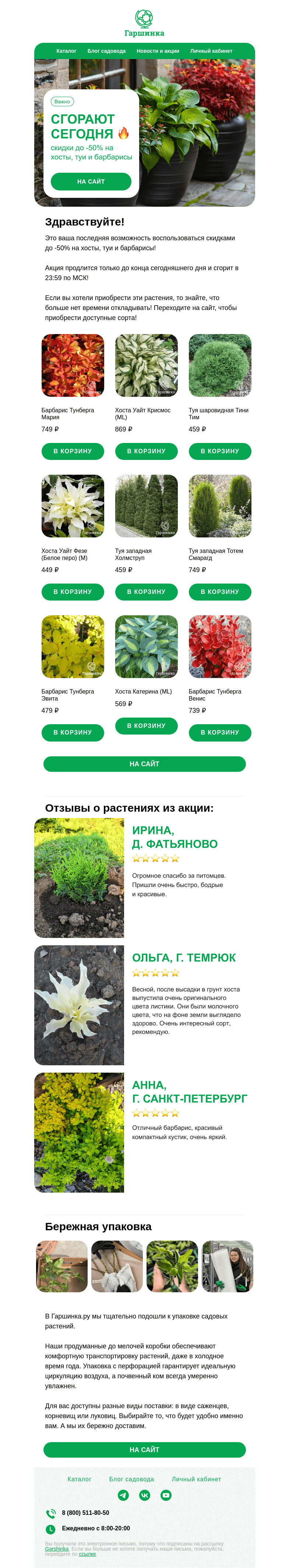 Письмо компании «Гаршинка.ру» на тему «Важно❗️ Последний день скидок до -50% на хосты, туи и барбарисы.»