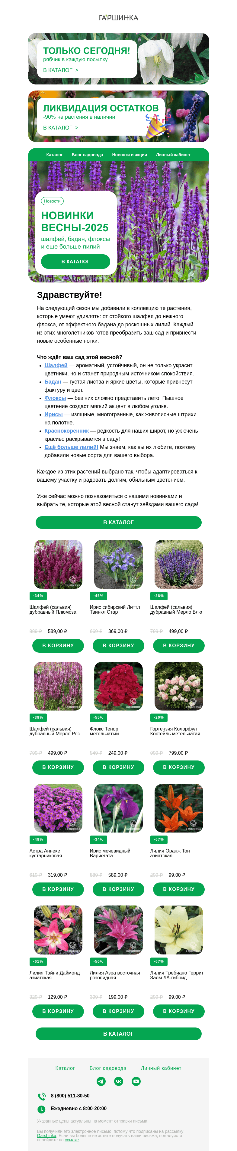 Письмо компании «Гаршинка.ру» на тему «🌸 Новинки весны: шалфей, бадан, флоксы и ещё больше лилий!»