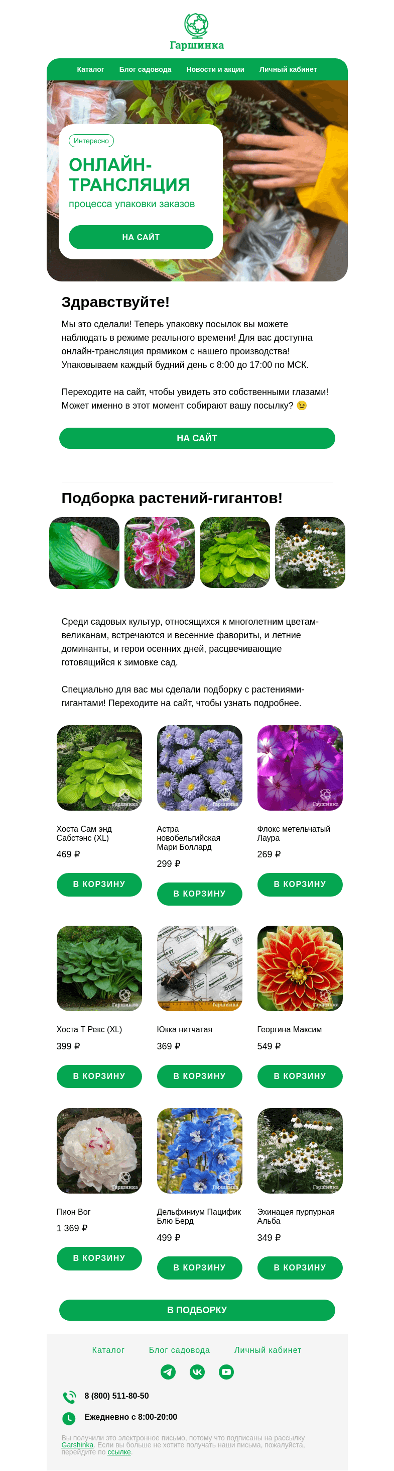 Письмо компании «Гаршинка.ру» на тему «👀📦 Запустили онлайн-трансляцию!»