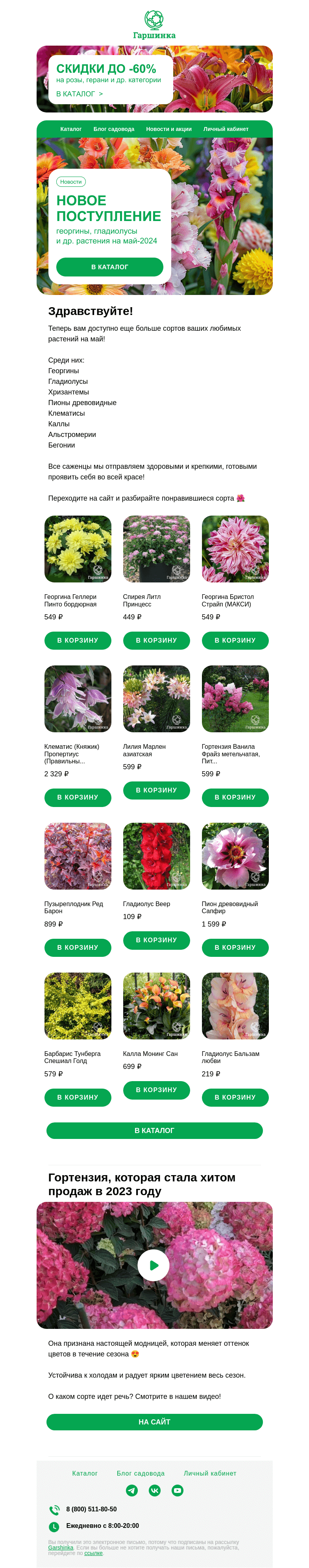 Письмо компании «Гаршинка.ру» на тему «🌺 Новое поступление на май: георгины, гладиолусы и др. растения!»