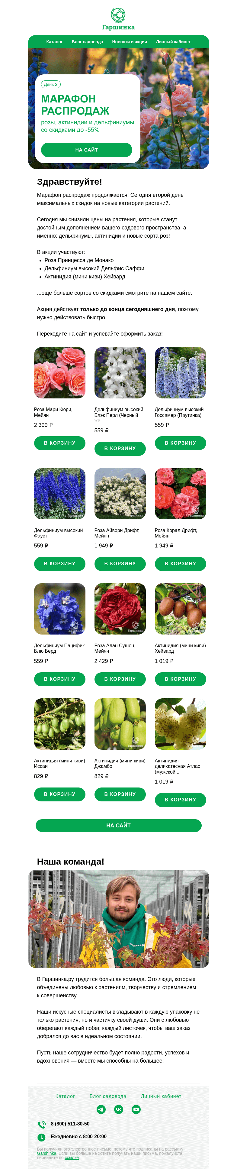 Письмо компании «Гаршинка.ру» на тему «🌿 Марафон распродаж, день 2 | Скидки до -55% на розы, дельфиниумы и актинидии»