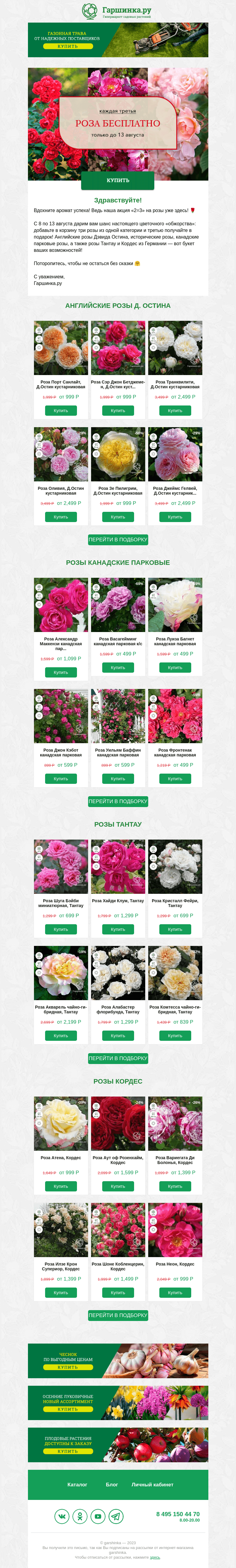 Письмо компании «Гаршинка.ру» на тему «🌹 Три розы по цене двух: акция начинается! 🌹»