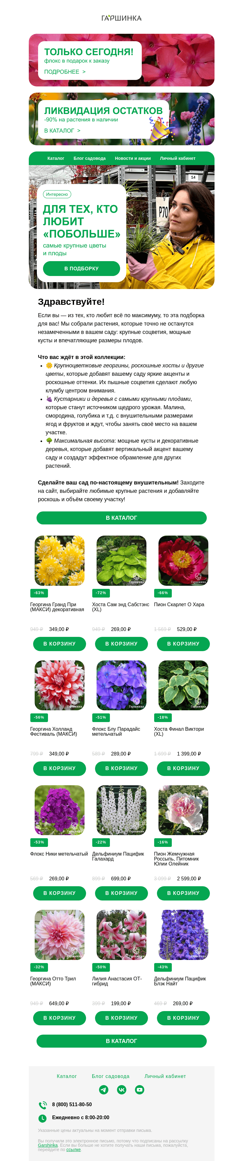 Письмо компании «Гаршинка.ру» на тему «🍎🌺 Для тех, кто любит «побольше»: самые крупные цветы и плоды!»