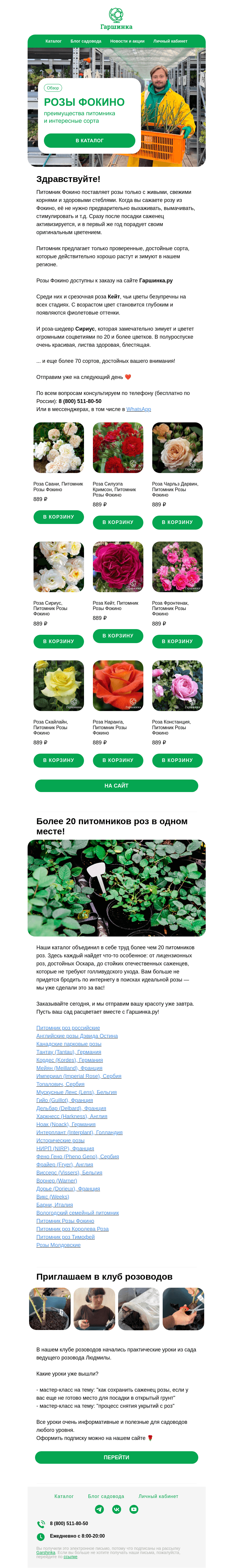 Письмо компании «Гаршинка.ру» на тему «🌹 Чем хороши розы Фокиных?»