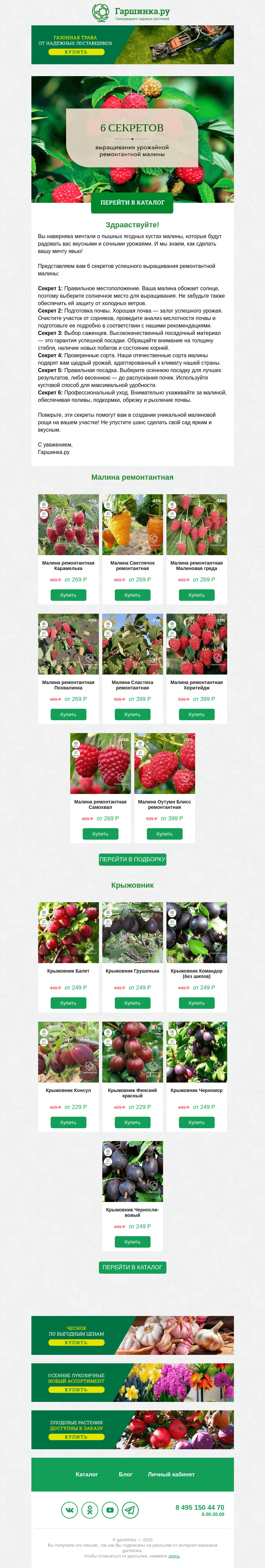 Письмо компании «Гаршинка.ру» на тему «🤩 Все секреты урожайной ремонтантной малины!»