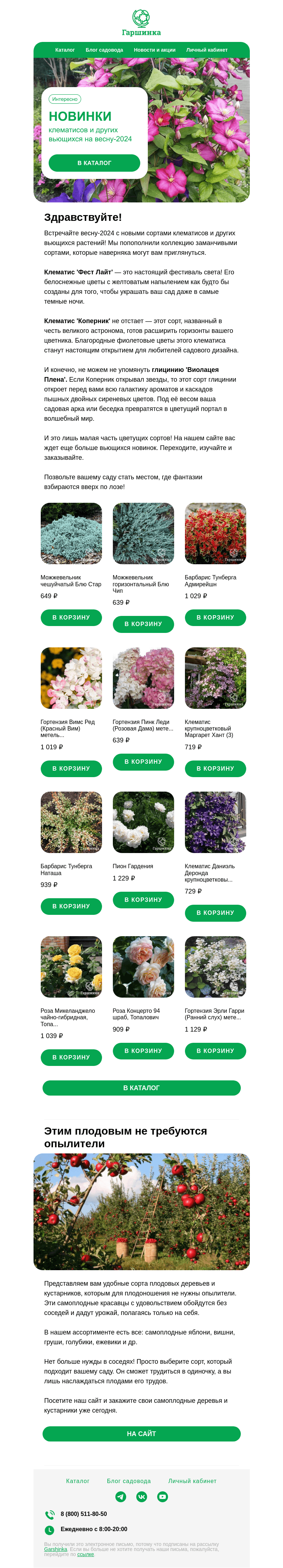 Письмо компании «Гаршинка.ру» на тему «🌸 Новинки клематисов и других вьющихся на весну 2024!»
