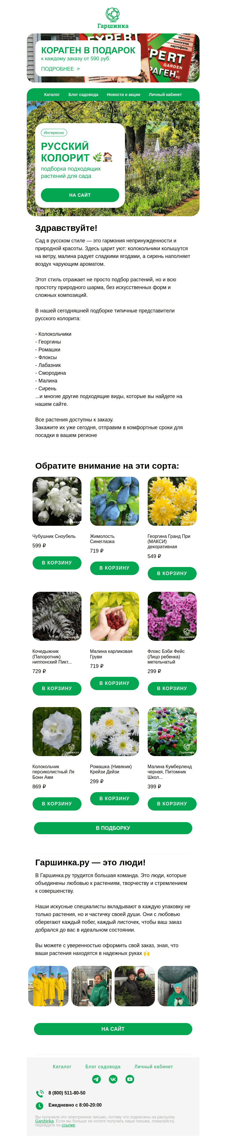 Письмо компании «Гаршинка.ру» на тему «🌿🏠 Русский колорит в саду | Подборка подходящих растений»