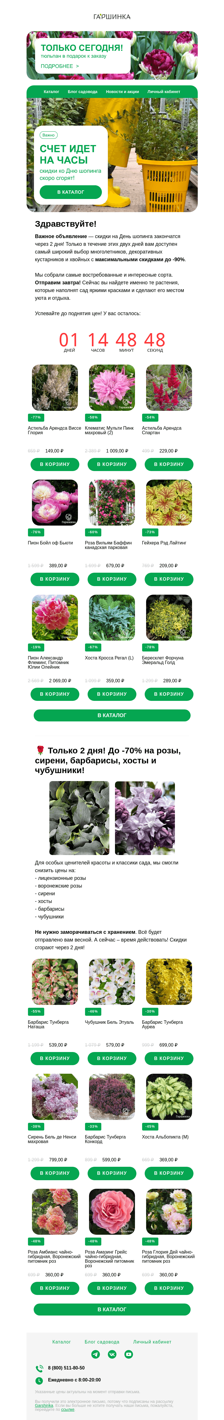 Письмо компании «Гаршинка.ру» на тему «🔥 День Шопинга! Осталось 2 дня суперскидок до -90% на 1000 растений!»