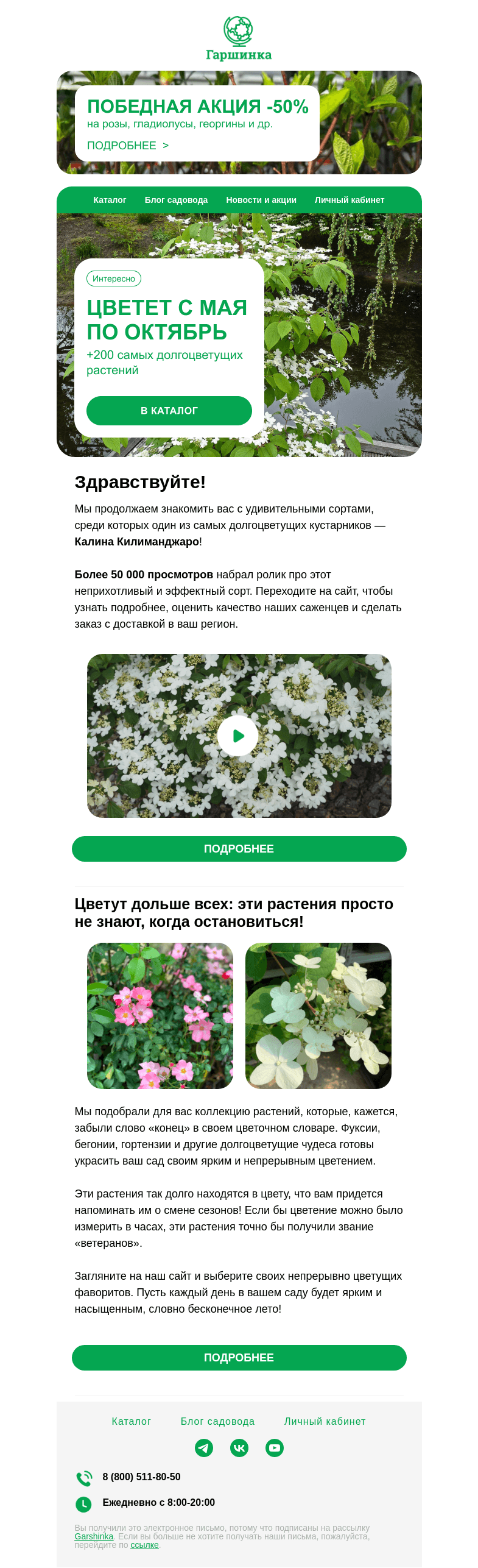 Письмо компании «Гаршинка.ру» на тему «😍[Видео] Кустарник, который цветет с мая по октябрь | +200 самых долгоцветущих растений»