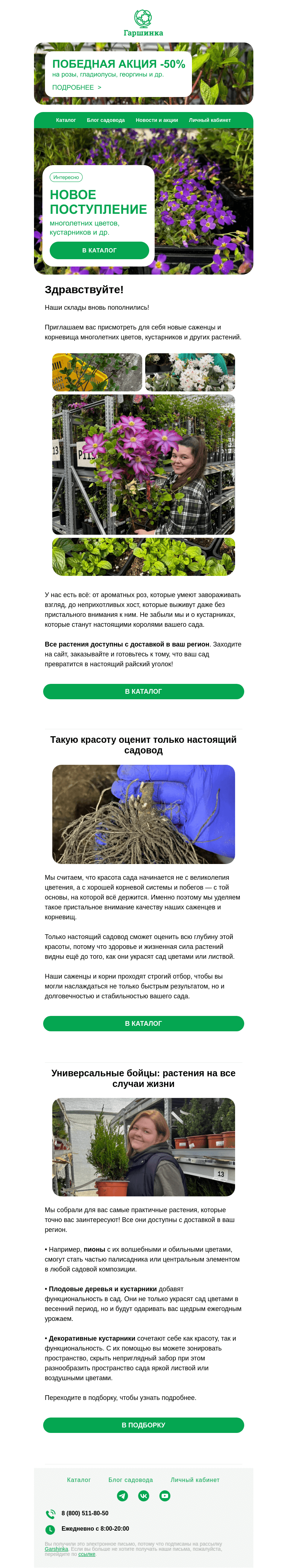 Письмо компании «Гаршинка.ру» на тему «🥰 Новое поступление многолетних цветов, кустарников и др. растений»