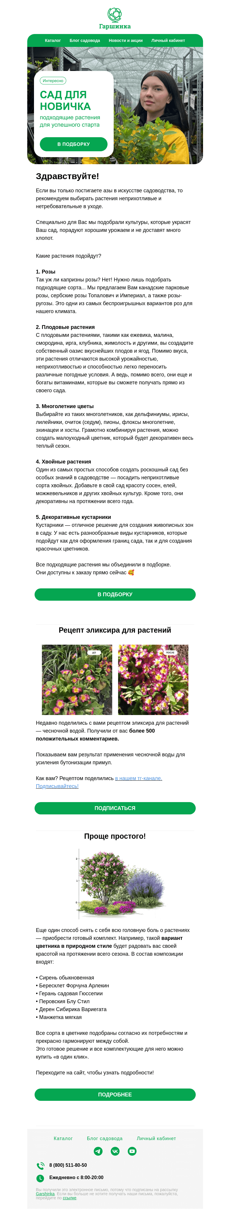 Письмо компании «Гаршинка.ру» на тему «🏁Растения для новичка: подходящие сорта для успешного старта»