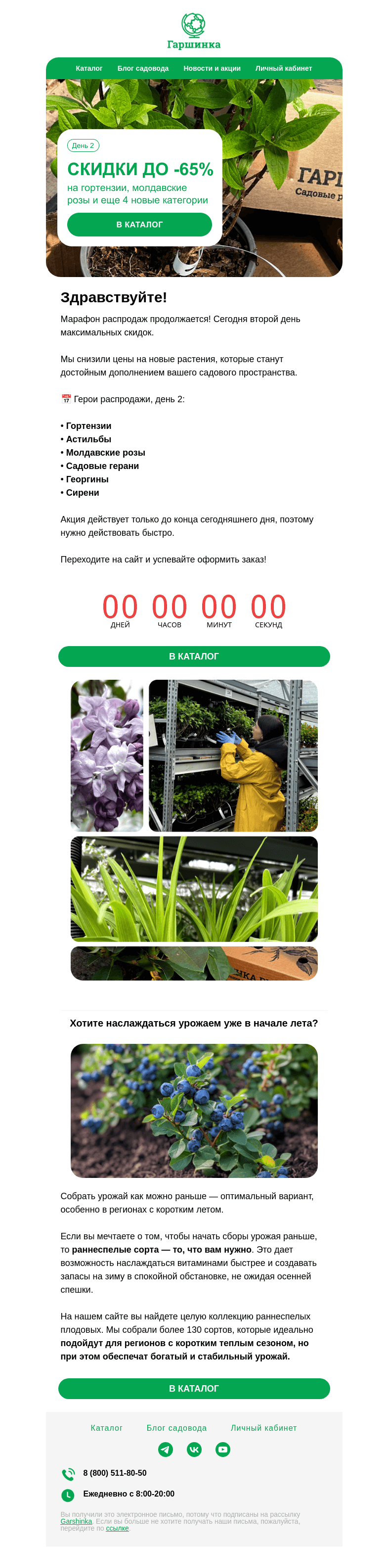 Письмо компании «Гаршинка.ру» на тему «🌿 Майская распродажа, день 2 | Скидки до -65% на гортензии, астильбы, герани и др. категории»