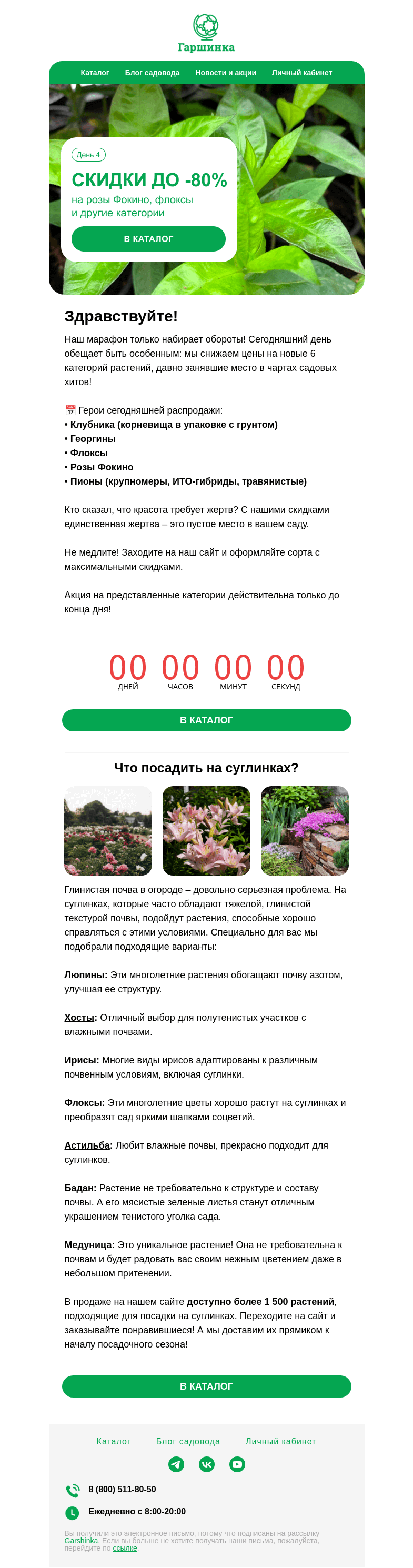 Письмо компании «Гаршинка.ру» на тему «🌼 Майская распродажа, день 4 | Скидки до -80% на клубнику, георгины, флоксы метельчатые и др.»