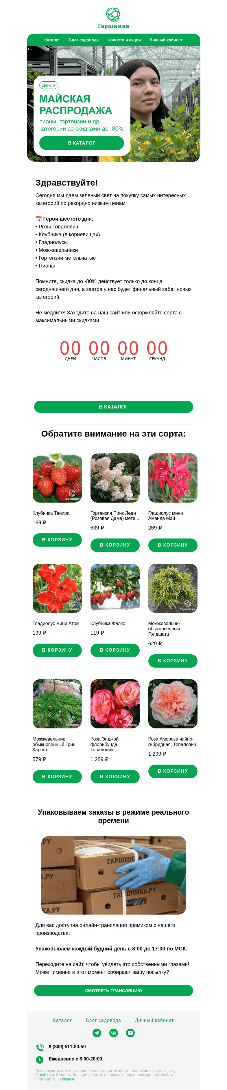 Письмо компании «Гаршинка.ру» на тему «🍓 Майская распродажа, день 6 | Скидки до -80% на клубнику, пионы, розы Топалович и др.»