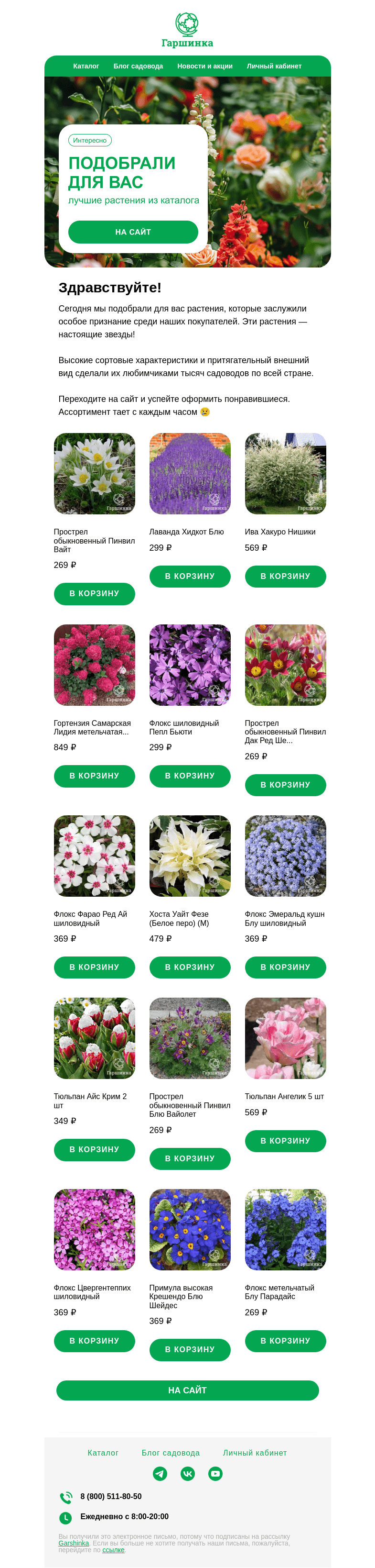 Письмо компании «Гаршинка.ру» на тему «🌺 Подобрали специально для вас лучшие растения из каталога!»