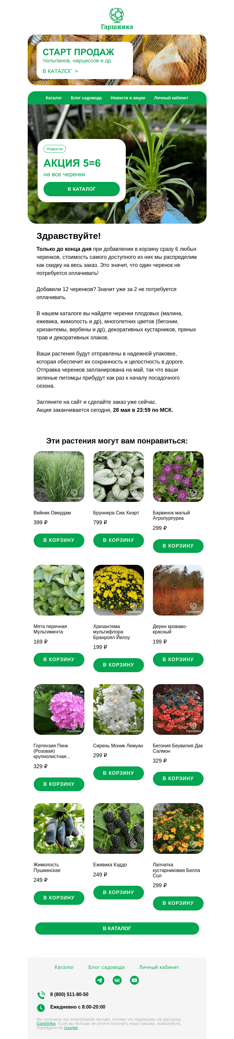 Письмо компании «Гаршинка.ру» на тему «🌸 5=6 на все черенки! Только до конца дня!»