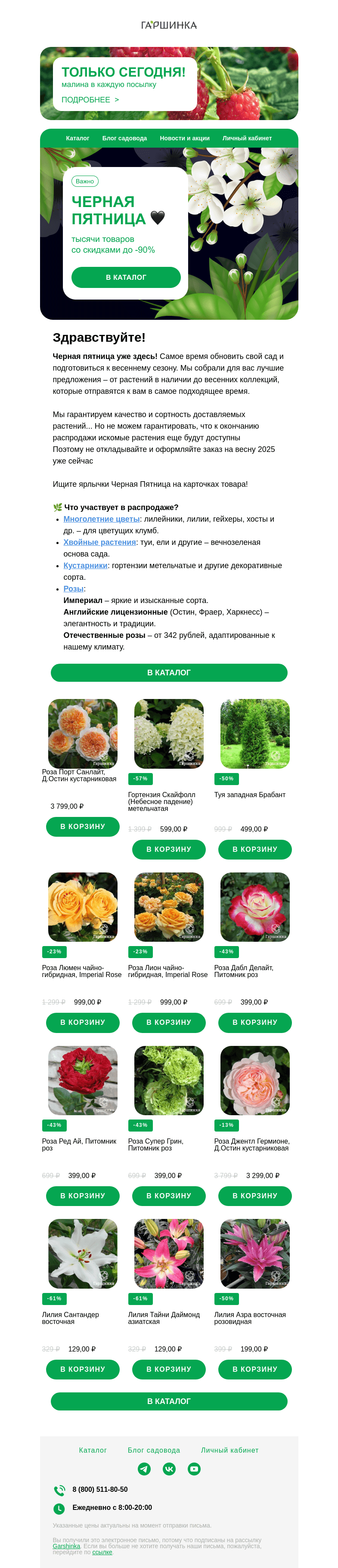 Письмо компании «Гаршинка.ру» на тему «🖤 Черная Пятница в Гаршинка.ру! Горячие скидки до -90%!»