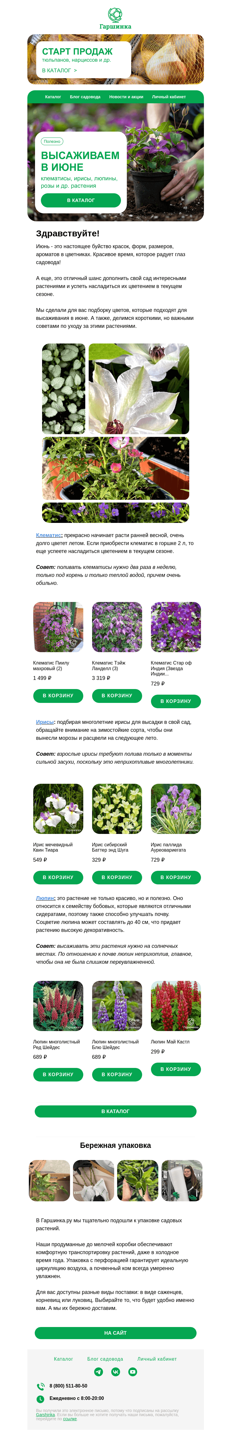Письмо компании «Гаршинка.ру» на тему «👌Какие цветы посадить в июне?»