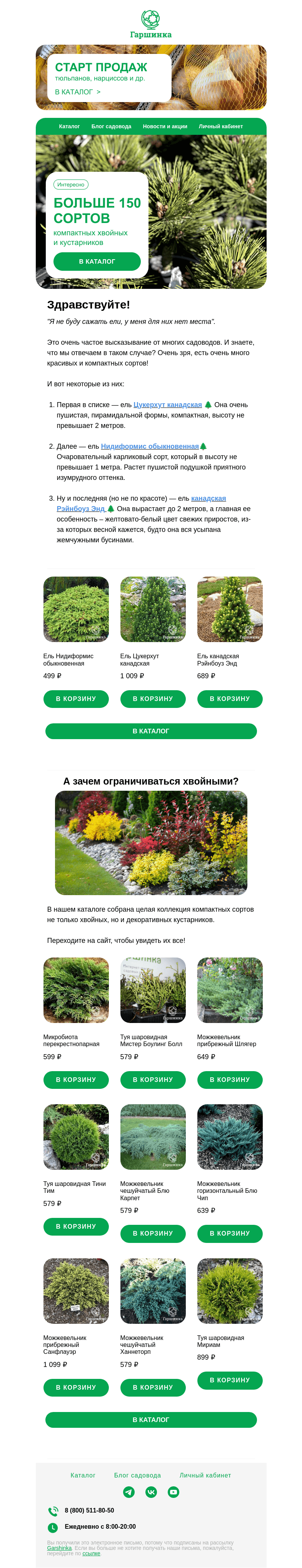 Письмо компании «Гаршинка.ру» на тему «🌲 Больше 150 сортов компактных кустарников и хвойных: самые интересные сорта»