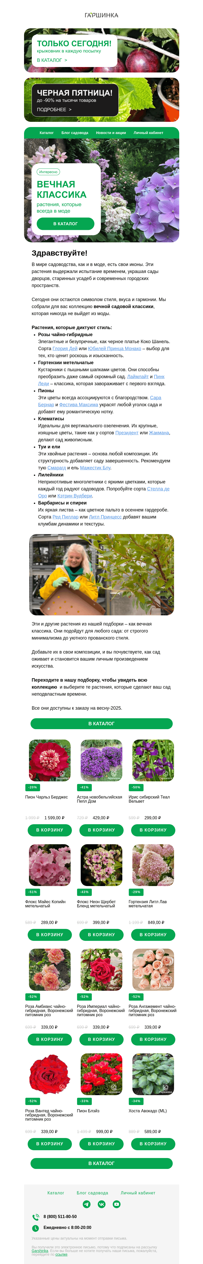 Письмо компании «Гаршинка.ру» на тему «🕊️ Вечная классика: растения, которые не никогда не выйдут из моды»
