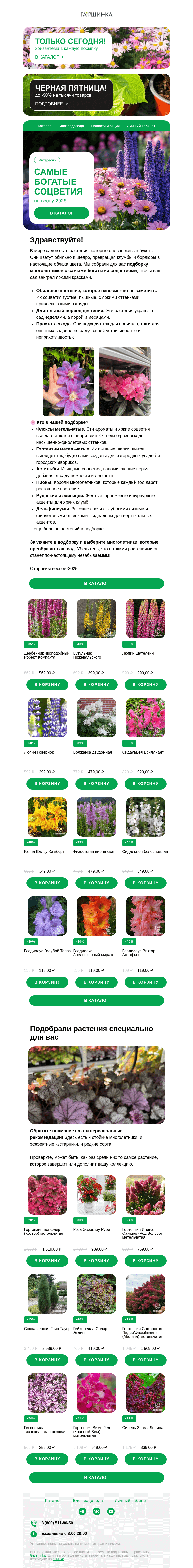Письмо компании «Гаршинка.ру» на тему «🌸✨ Многолетники с самыми богатыми соцветиями. Вам точно понравится наша подборка!»