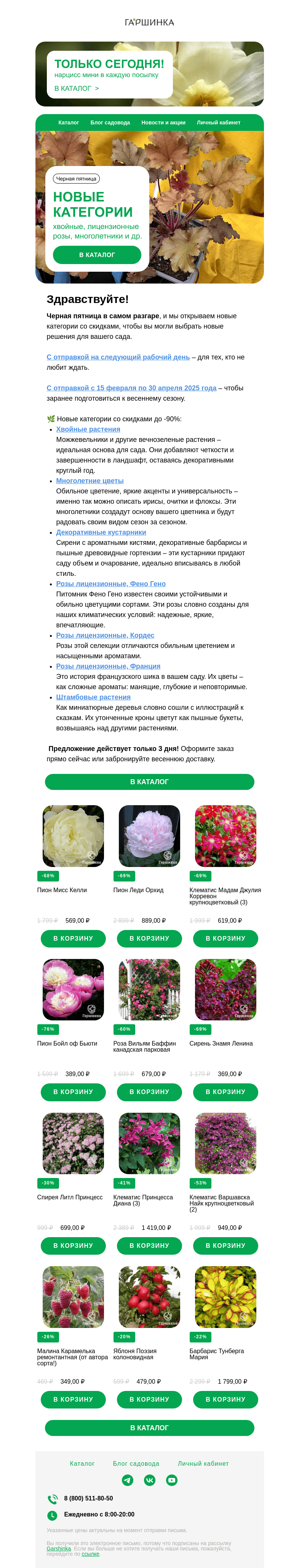 Письмо компании «Гаршинка.ру» на тему «🍃 Черная Пятница: новые категории со скидками до -90%! Только 3 дня!»