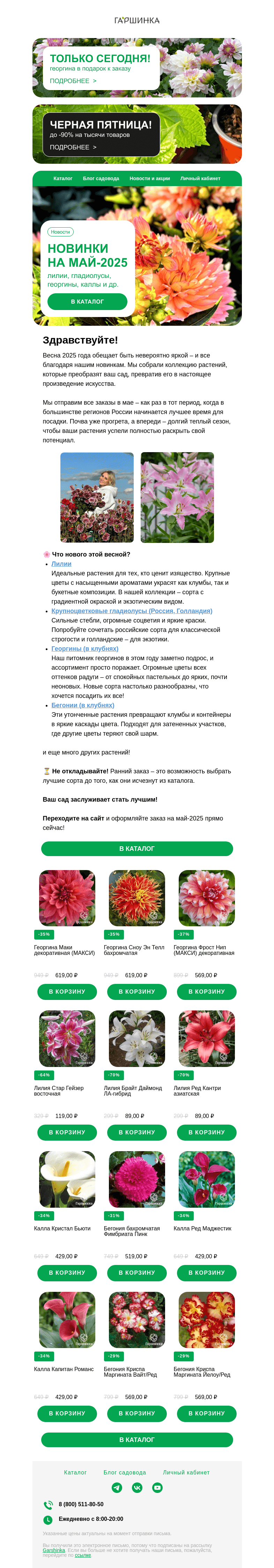Письмо компании «Гаршинка.ру» на тему «🤩 Новинки на май-2025: лилии, гладиолусы крупноцветковые (Россия, Голландия), георгины, бегонии и др.»