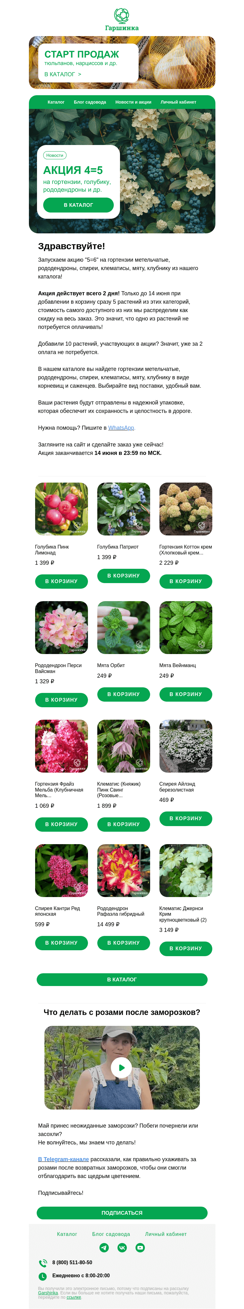 Письмо компании «Гаршинка.ру» на тему «😍🌿 Акция 4=5 на любимые растения! Только до завтрашнего дня!»