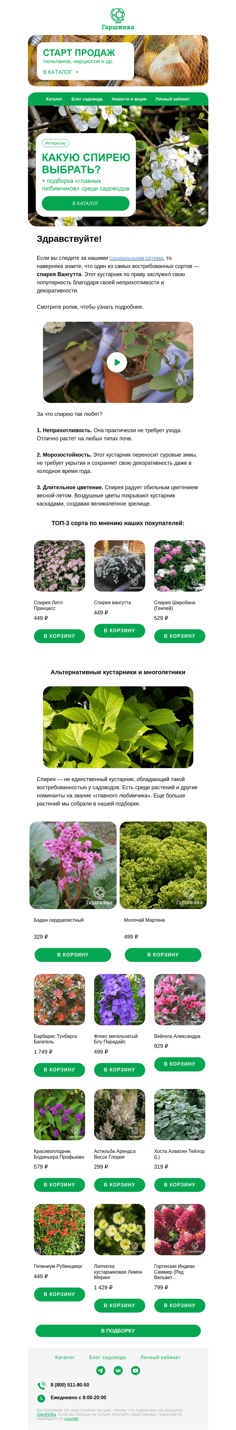 Письмо компании «Гаршинка.ру» на тему «🌿 [Видео] Какой сорт спиреи посадить в саду? | Номинанты на звание «главного любимчика»»