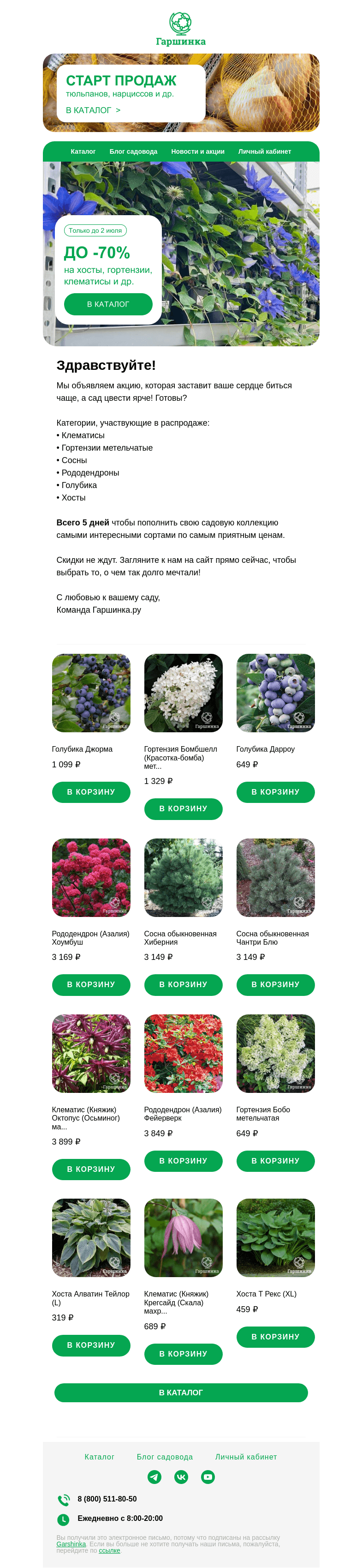 Письмо компании «Гаршинка.ру» на тему «🌿🌸 До -70% на клематисы, гортензии, хосты и др. Только до 2 июля!»
