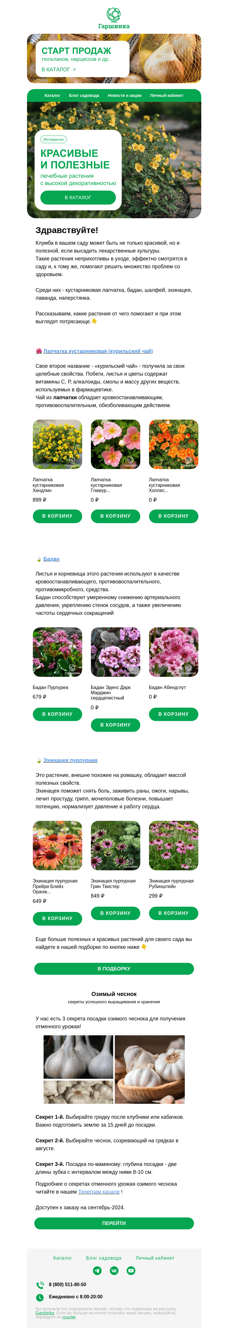 Письмо компании «Гаршинка.ру» на тему «🌸Красота и польза: лечебные растения с высокой декоративностью»
