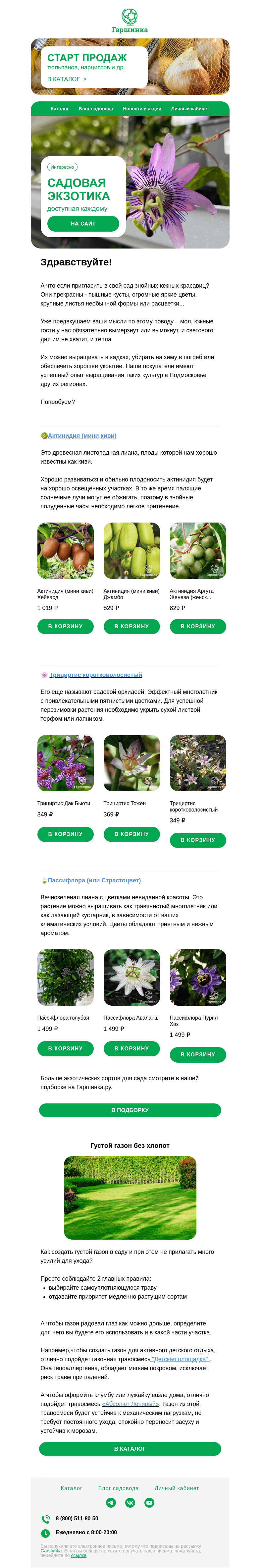 Письмо компании «Гаршинка.ру» на тему «🤗 Садовая экзотика, доступная каждому| Подробности - в письме»