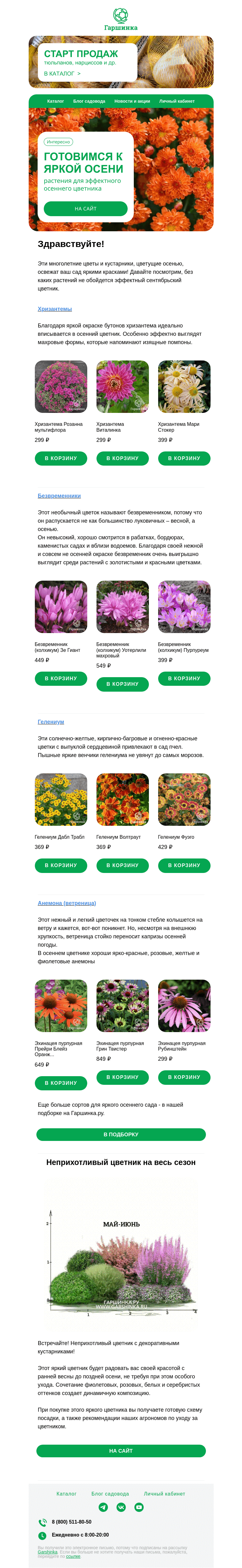 Письмо компании «Гаршинка.ру» на тему «🍂 Готовимся к яркой осени | Зацветут в первый сезон!»