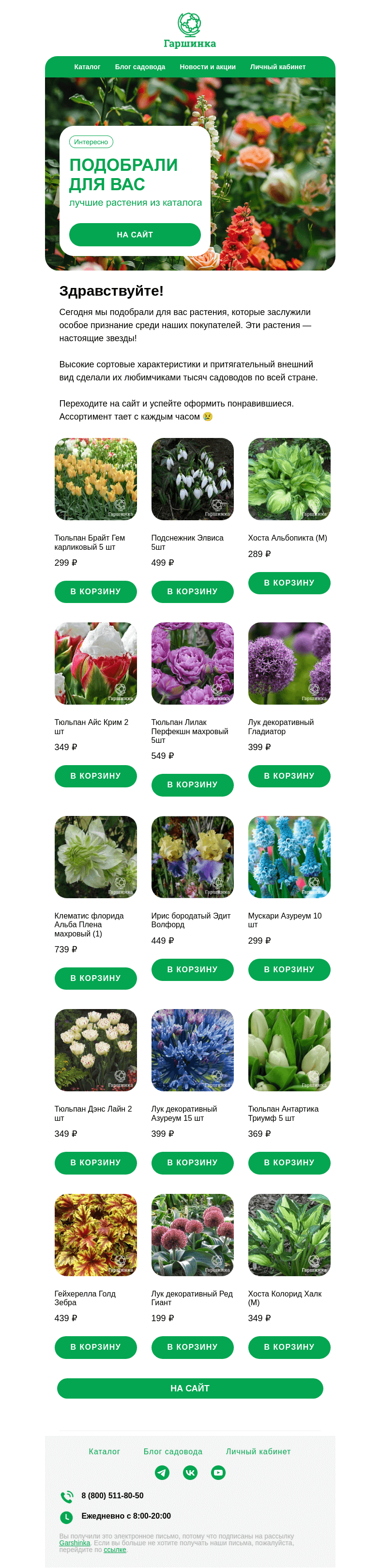Письмо компании «Гаршинка.ру» на тему «🌺 Подобрали специально для вас лучшие растения из каталога!»