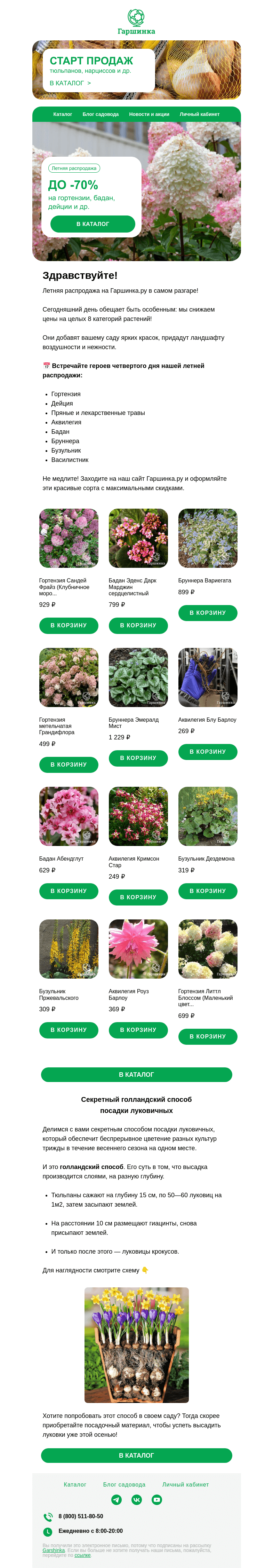 Письмо компании «Гаршинка.ру» на тему «🔥 Разгар распродажи! До - 70% на гортензии, бадан, аквилегию и др.»